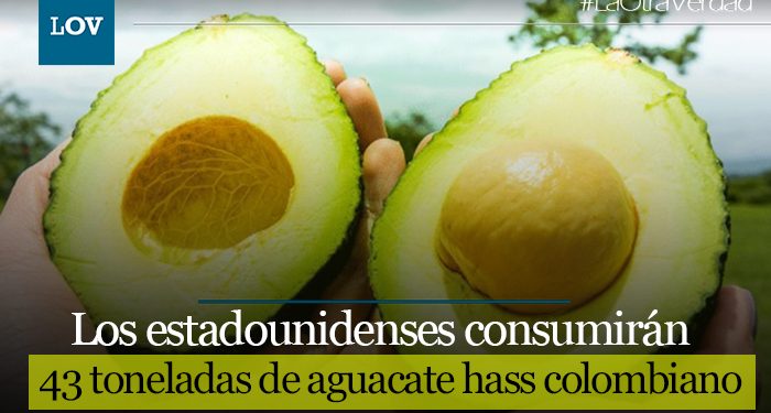 El aguacate hass colombiano estará presente en la edición LV del ‘Super Bowl’