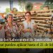 Abierta convocatoria de formación en diseño e innovación para artesanos ibaguereños