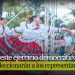 Definidos los candidatos al Consejo Municipal de Cultura de Ibagué