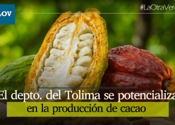 Personería de Ibagué media en la solución de conflictos