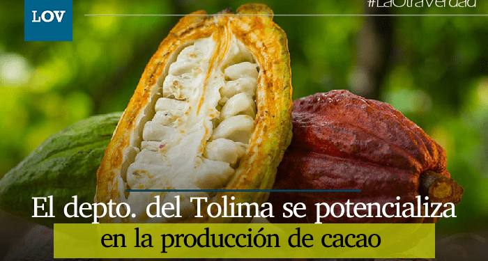 Personería de Ibagué media en la solución de conflictos