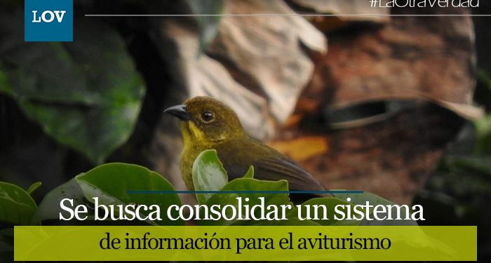 Sancionada la Ordenanza de Aves Emblemáticas del Tolima