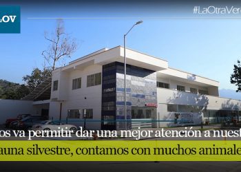 Descubren enfermedad de Distemper Canino en fauna silvestre en el Tolima