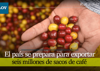 Colombia se alista para recoger más de 6 millones de sacos de café este primer semestre
