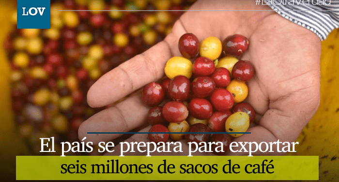 Colombia se alista para recoger más de 6 millones de sacos de café este primer semestre