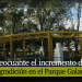 Parque Galarza o parque del Bronx de Ibagué