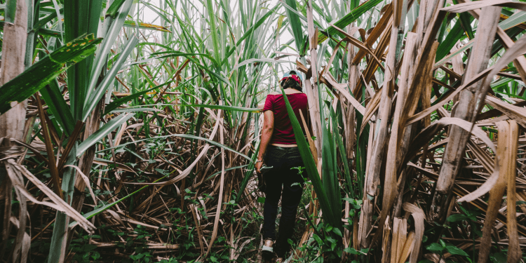 “Enciérrenlas y ahóguenlas”: abuso policial en Palmira durante el paro