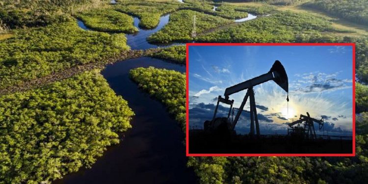 Congreso busca poner freno a explotación petrolera en el amazonas