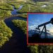 Congreso busca poner freno a explotación petrolera en el amazonas