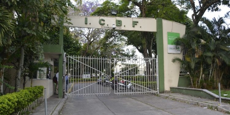 Exdirector del ICBF en el Tolima es investigado por contratación fraudulenta