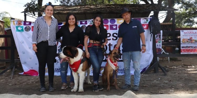 Fue un éxito Festi – Mascotas 2021 en Ibagué
