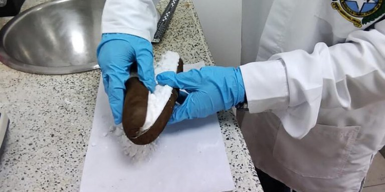 Traficantes camuflan cocaína en yucas, la policía del Tolima los descubrió