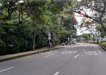 Críticas a la alcaldía por no implementar la ciclo vía en el día sin carro y sin moto en Ibagué 