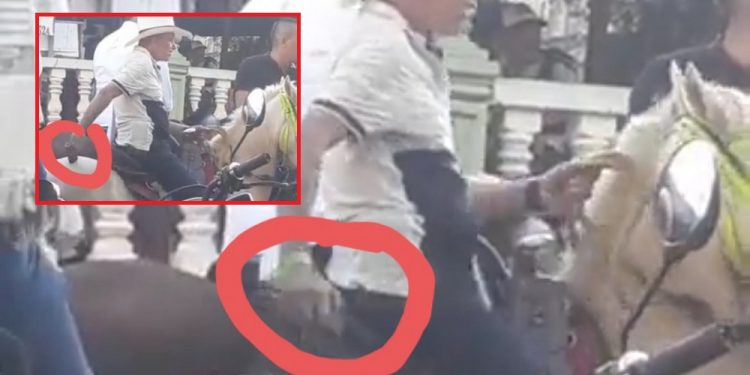 Exigen castigo ejemplar por caso de maltrato animal en Icononzo