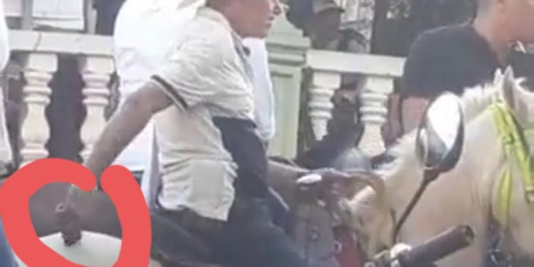 Denuncian caso de maltrato animal en Icononzo