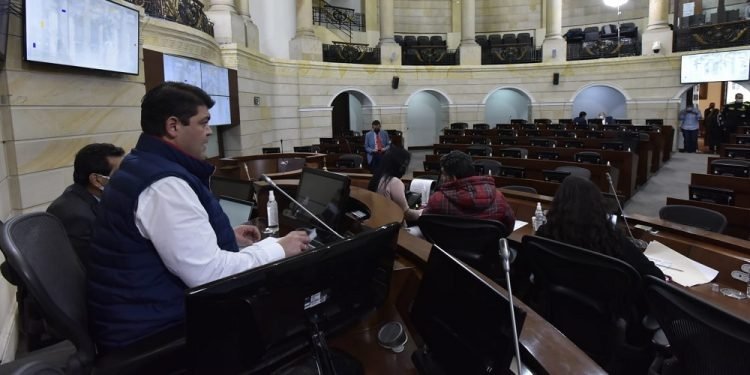 Senador tolimense votó positivo al proyecto de ley de Seguridad Ciudadana