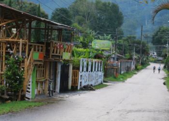 Los planes para pasar el post-guayabo este 25 de diciembre en Ibagué ¿a cuál se apunta?