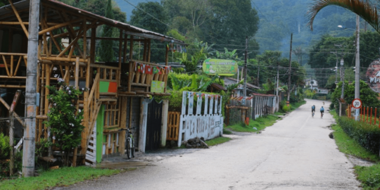 Los planes para pasar el post-guayabo este 25 de diciembre en Ibagué ¿a cuál se apunta?