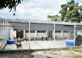 Administración Hurtado eleva el costo para construir el Mega Capa