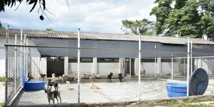 Administración Hurtado eleva el costo para construir el Mega Capa