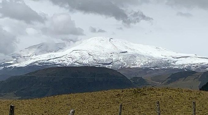 Misiva a gobernador y alcaldes del Tolima por parte de la Procuraduría