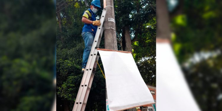 Empezaron a bajar la publicidad política ilegal en Ibagué