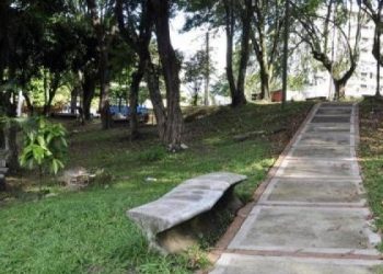 Hay cultura ciudadana con las zonas vedes de Ibagué