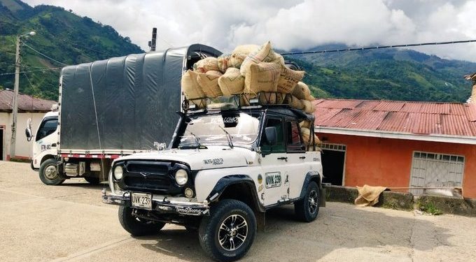 Cafeteros del Tolima fueron beneficiados con incentivos para sus Cafetales