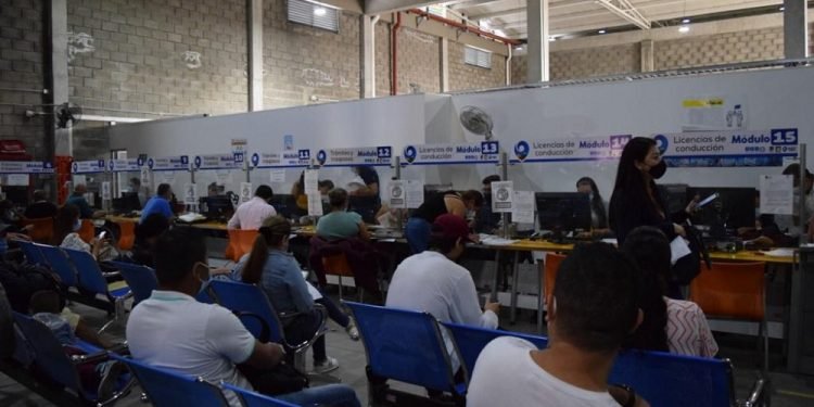 Secretaría de la Movilidad de Ibagué exigirá el certificado de medidas correctivas