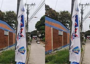 Ibagué está estallada en publicidad política