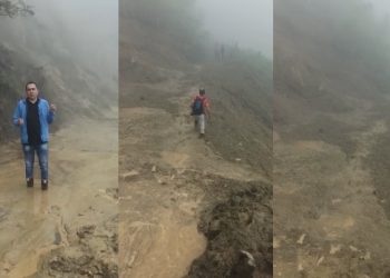 Vías de Anzoátegui, Tolima, han generado perdidas a productores agrícola