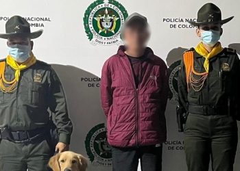 Estupefacientes fueron incautadas en el corregimiento Coello Cocora