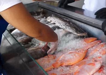 Tenga en cuenta las siguientes recomendaciones si va a consumir pescado en Semana Santa