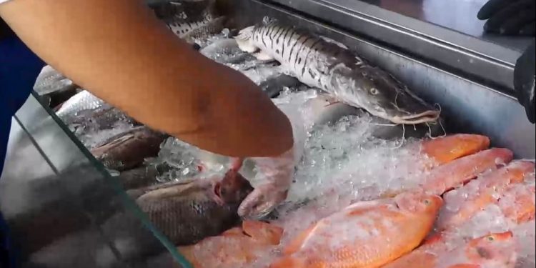 Tenga en cuenta las siguientes recomendaciones si va a consumir pescado en Semana Santa