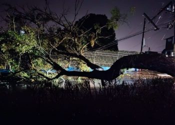 Autoridades atienden emergencias por lluvias en Ibagué