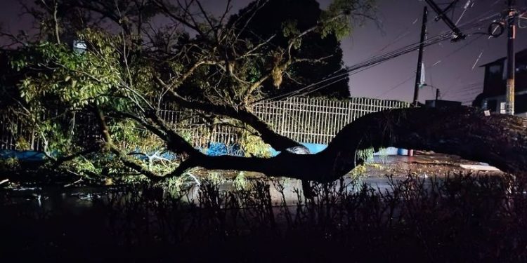 Autoridades atienden emergencias por lluvias en Ibagué