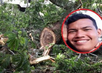 Acciones legales en contra de la alcaldía y Cortolima por parte de la familia Felipe Góngora
