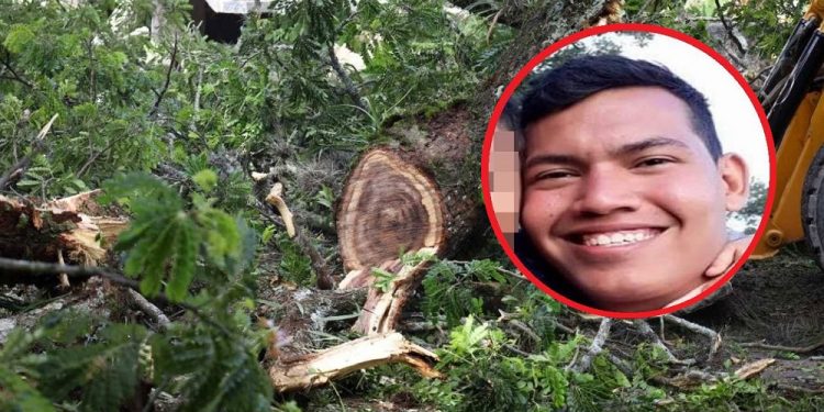 Acciones legales en contra de la alcaldía y Cortolima por parte de la familia Felipe Góngora