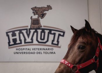 Hospital Veterinario de la UT tendrá un tomógrafo 