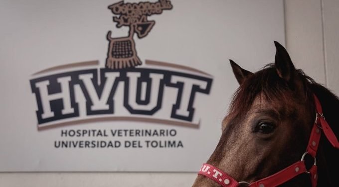 Hospital Veterinario de la UT tendrá un tomógrafo 