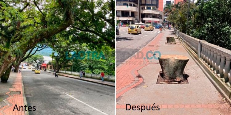 Alcalde Hurtado la discusión es de conciencia ambiental