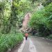 Cerrada vía Ibagué – Corregimiento de Payandé, San Luis por derrumbe