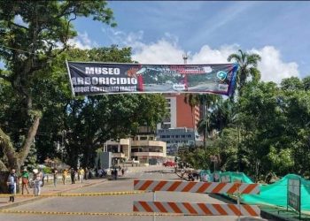 Museo Arboricidio en el Parque Centenario de Ibagué