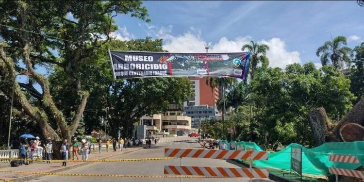 Museo Arboricidio en el Parque Centenario de Ibagué