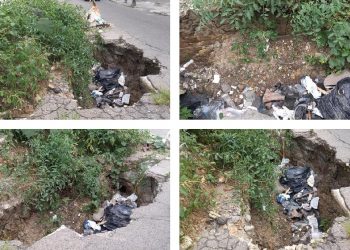 Tomate, Lulo y ahuyama, produce hueco en el Barrio Departamental de Ibagué