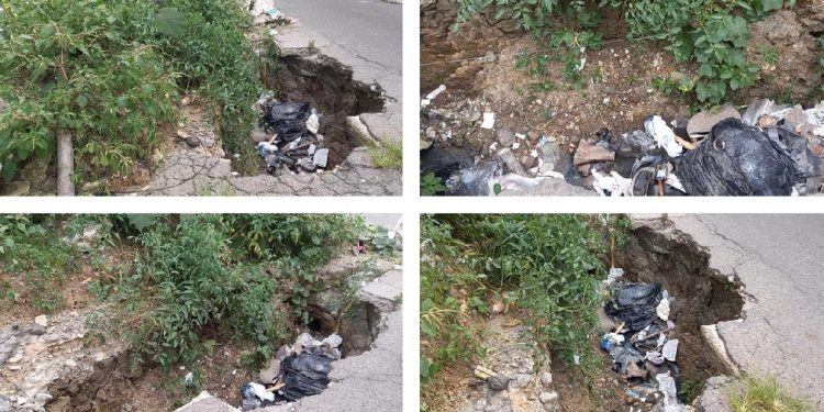 Tomate, Lulo y ahuyama, produce hueco en el Barrio Departamental de Ibagué