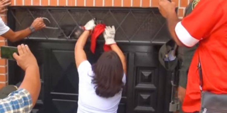 Línea de Atención y Rescate de Fauna Silvestre