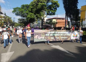 Fue todo un éxito la Marcha Carnaval en Ibagué