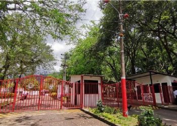 Universidad del Tolima tiene becas de Maestría