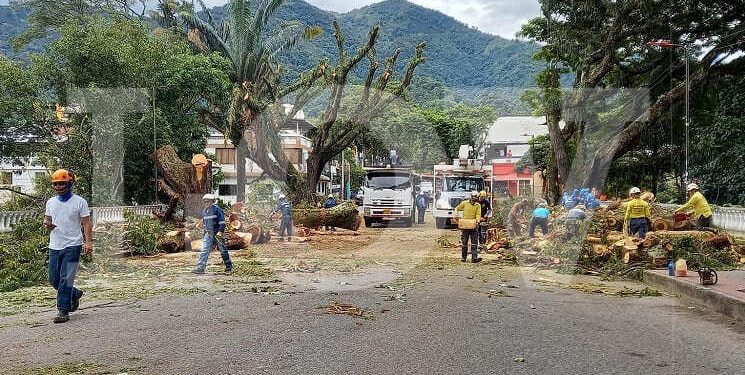 Debate de control político contra la “Operación Centenario”